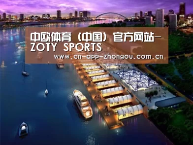 案例展示八