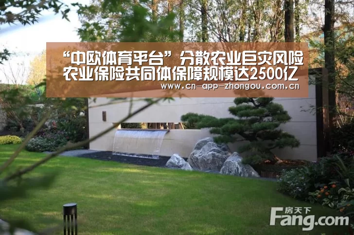 中欧体育