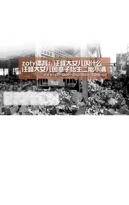zoty体育:汪峰大女儿叫什么 汪峰大女儿因章子怡生二胎不满是真的吗(图2) 中欧体育