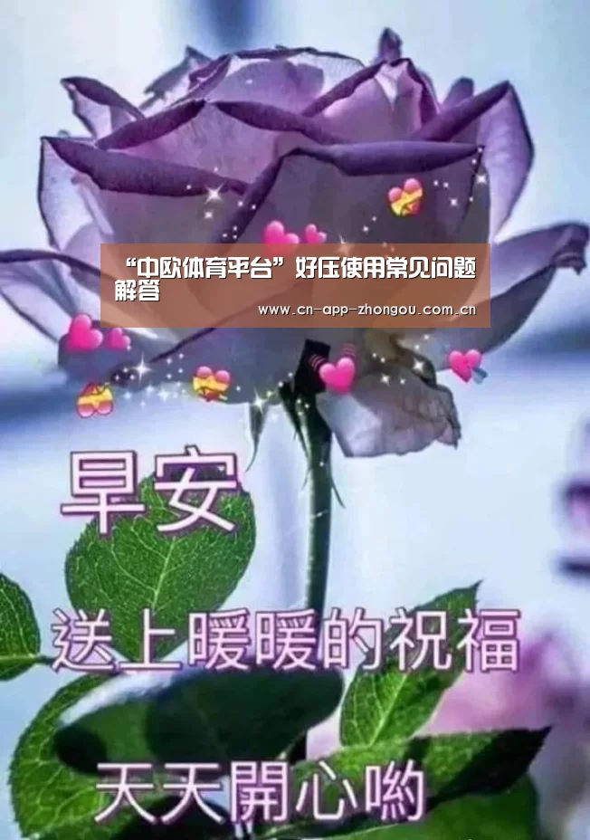 中欧体育平台