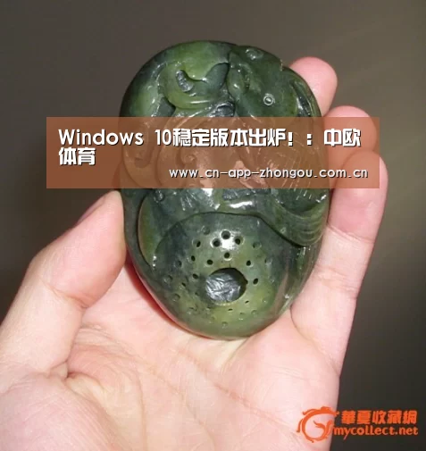 中欧体育平台
