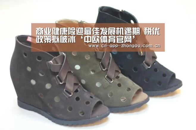 商业健康险迎最佳发展机遇期 税优政策拟破冰‘中欧体育官网’(图1) zoty体育