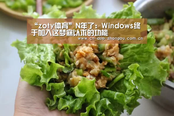 中欧体育平台