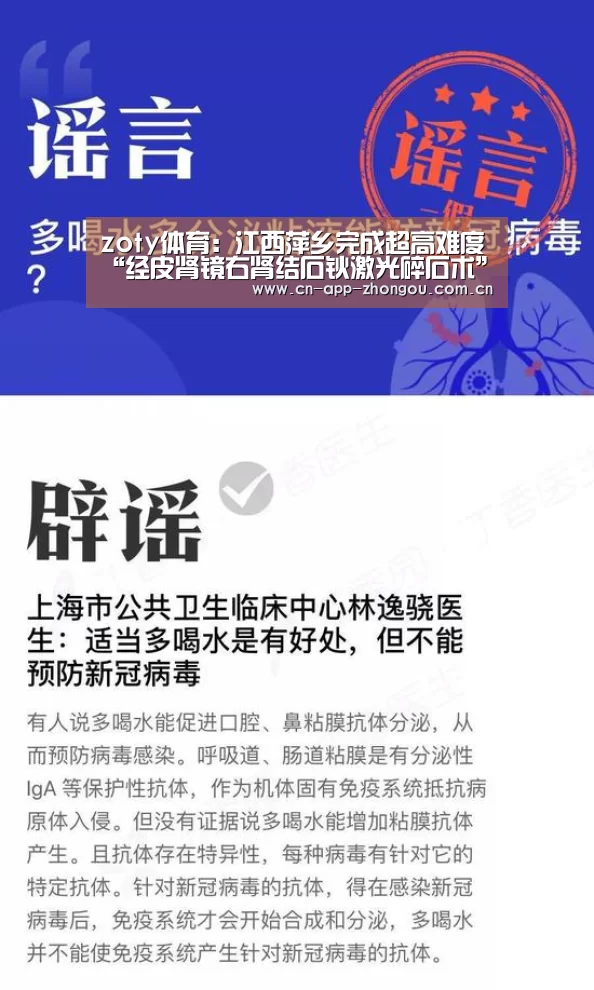 中欧体育