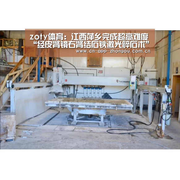 中欧体育