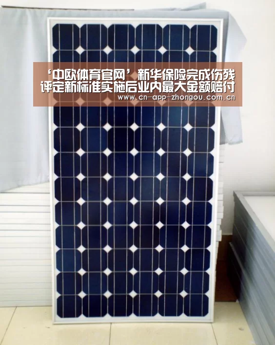 ‘中欧体育官网’新华保险完成伤残评定新标准实施后业内最大金额赔付(图2) 中欧体育官网