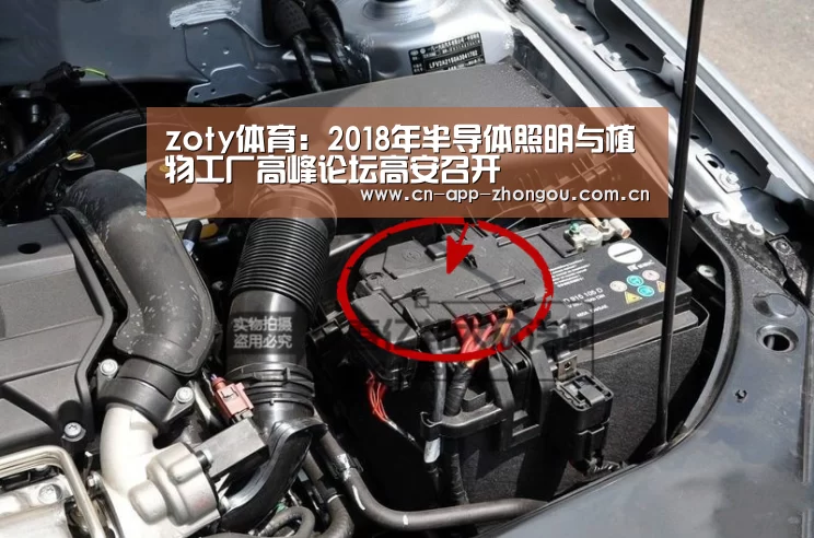 zoty体育