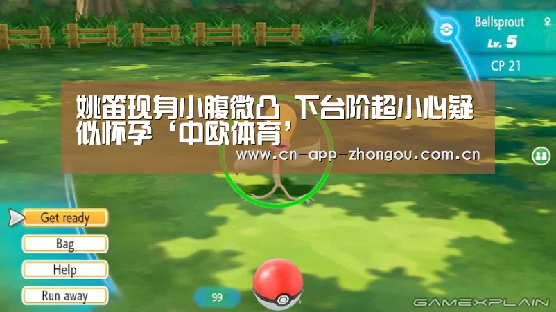 中欧体育官网
