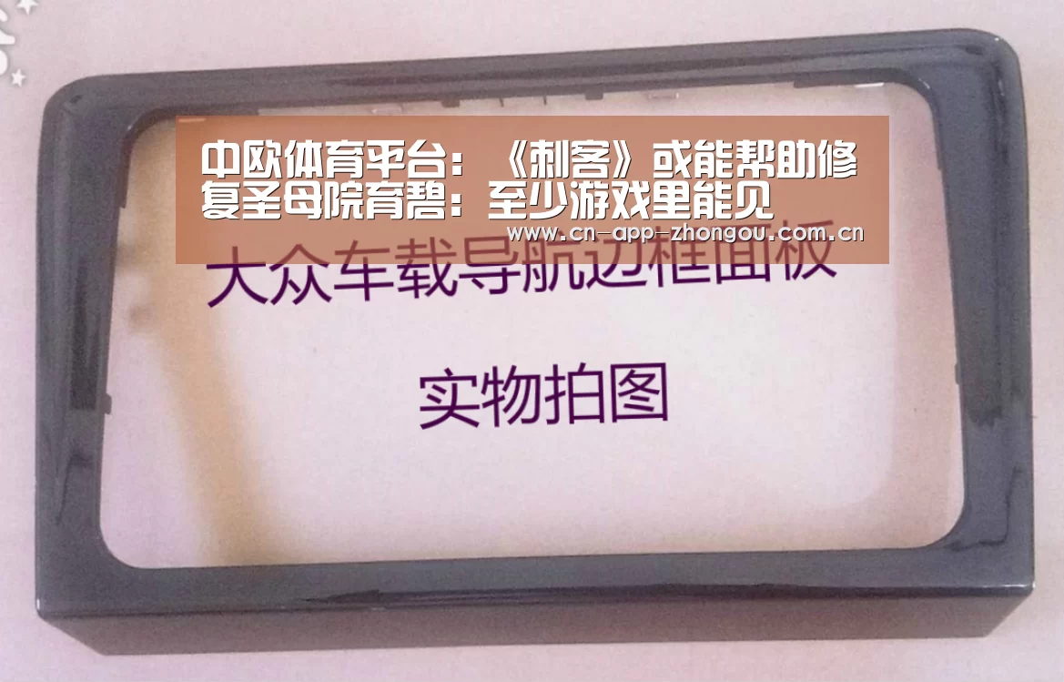 中欧体育平台:《刺客》或能帮助修复圣母院育碧:至少游戏里能见(图1) zoty体育