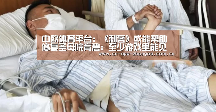 中欧体育平台:《刺客》或能帮助修复圣母院育碧:至少游戏里能见(图3) 中欧体育平台