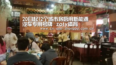 20日起12个城市将启用新能源汽车专用号牌-zoty体育(图2) zoty体育