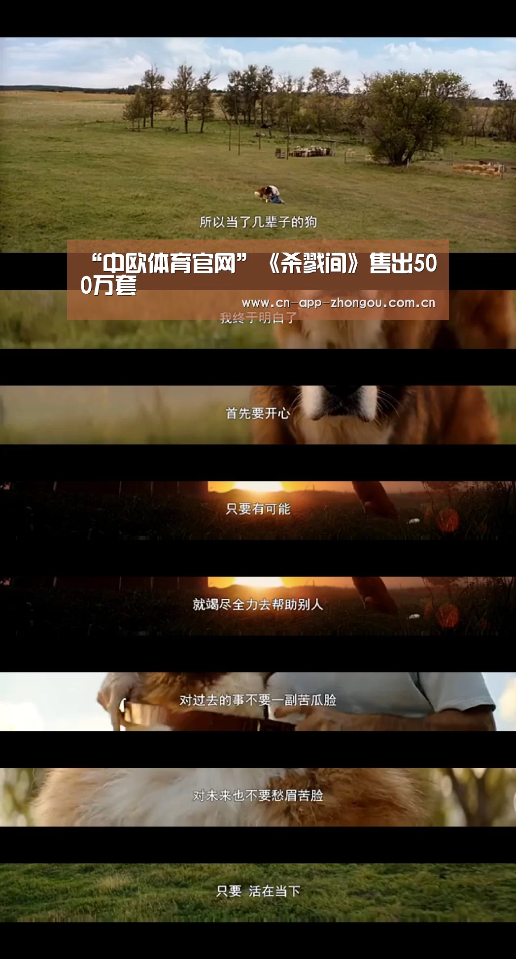 中欧体育平台