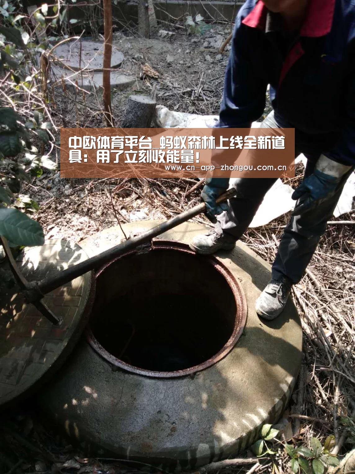 中欧体育平台_蚂蚁森林上线全新道具:用了立刻收能量!(图1) 中欧体育